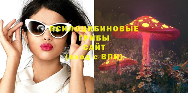 прущая мука Арсеньев