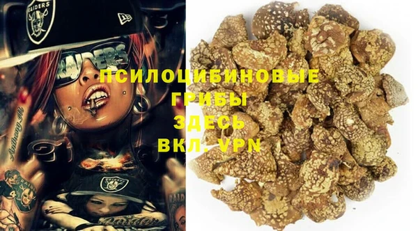 трава Балахна