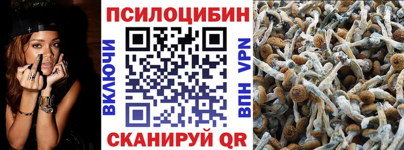Галлюциногенные грибы Magic Shrooms  купить закладку  Балахна 